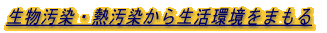 ���������E�M�������琶�������܂��� 